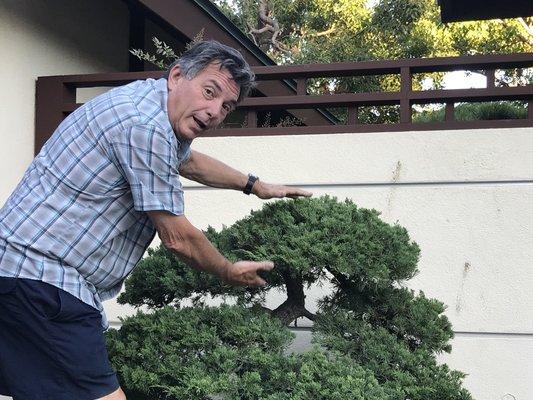 Bonsai shaping. Raymond educating in Balboa park