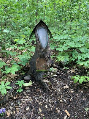 Fairy Garden House