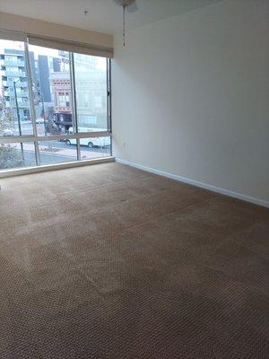 Carpet Cleaning