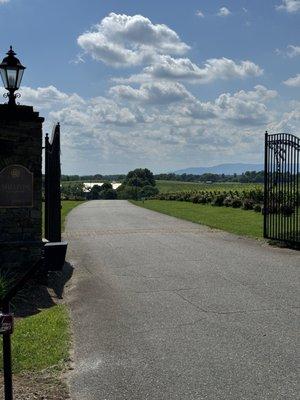 Shelton Vineyards welcoming us as we drive through their gate!