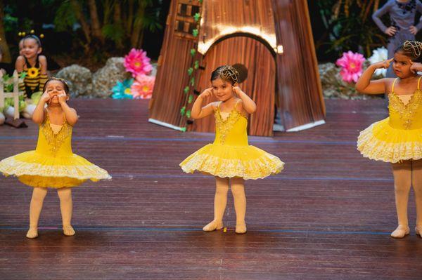 Our Baby Ballerinas Show