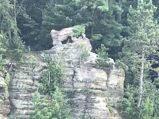 Beautiful Princess Kay Paddle Boat in the Upper Dells with breathtaking views!