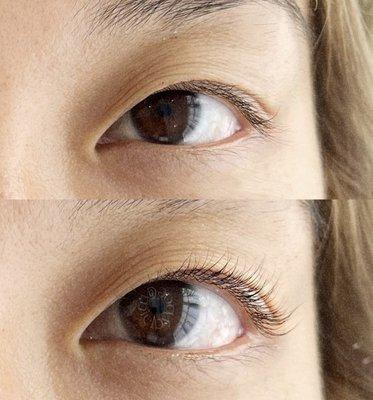 Lash Lift