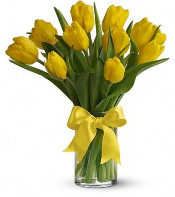 Sunny Yellow Tulips