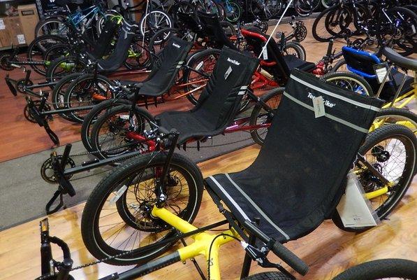 Large selection of Terra Trikes & Cat Trikes.
Electric conversion kits available