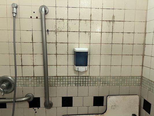 MOLD IN LA FITNESS MEN'S ROOM SHOWERS IN BALA CYNWYD 6-3-22