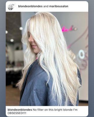 Blonded by Veronica Endsley Full lightening