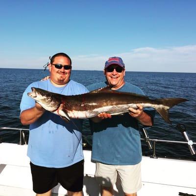 Cobia