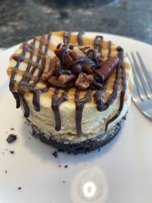 Turtle Cheesecake