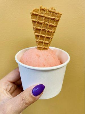 Strawberry Sorbet