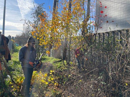 Portland Fruit Tree Project manages community orchard spaces as well! email volunteer@portlandfruit.org to get involved.