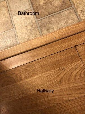 Hallway and bathroom floor damage.