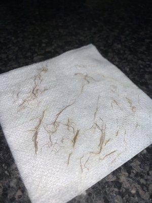 Vellus hair (baby hair) and dead skin. This is what comes off after Dermaplaning treatment