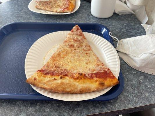 Plain pizza slice