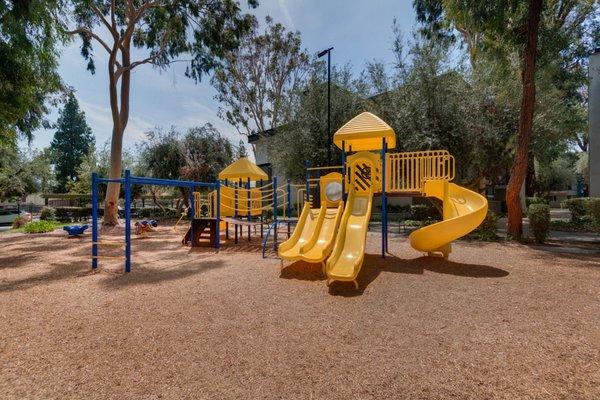 Avondale at Warner Center - Playground