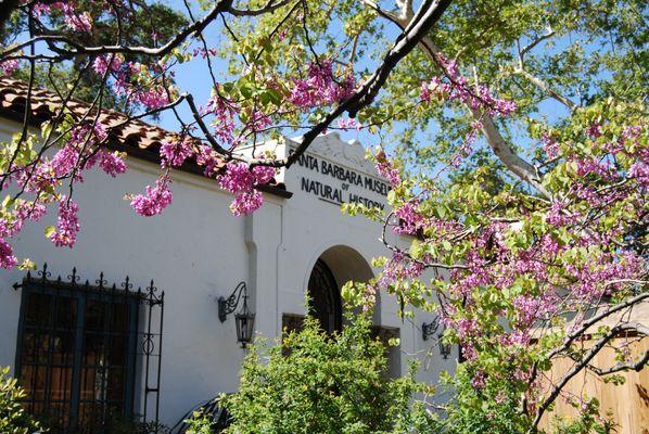 Santa Barbara Museum of Natural History