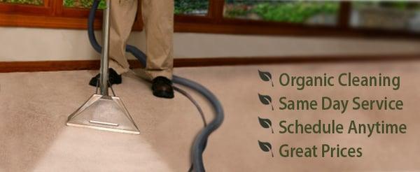 Forest Hills Green Carpet Cleaning