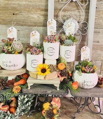 Thanksgiving succulent arrangements now available