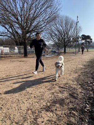 pups can get their steps in too