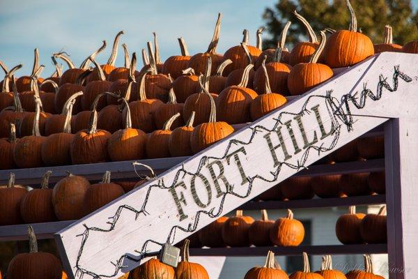 Fort Hill Farms in October