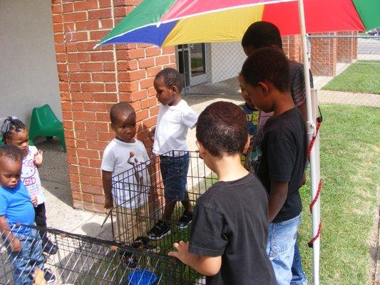 Our before and after schoolers are enjoying the petting zoo!