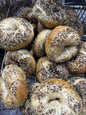 Everything Bagels