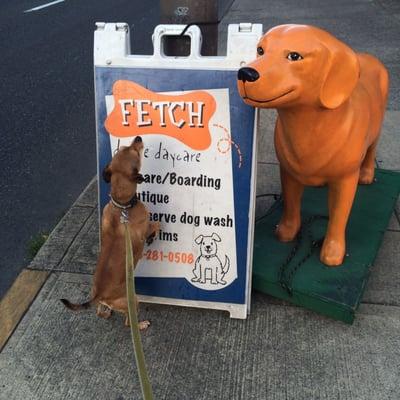 We love Fetch and the great people who work here.