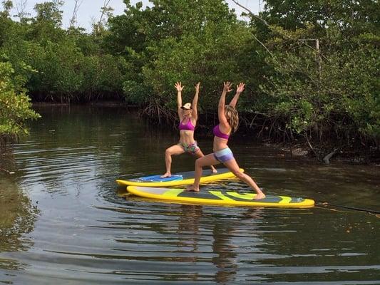 Paddle Boarding Palm Beach and Kayak