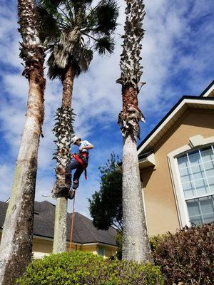 Ocean View Landscape Management