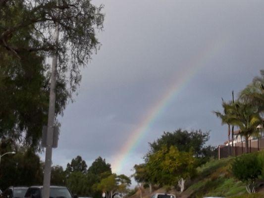 Somewhere over the rainbow bluebirds fly...