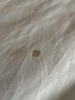 Another stain on bed sheet (looks like dried blood to me)