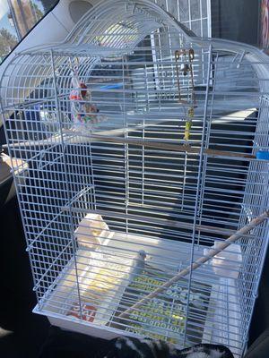 Bird cage + parrotlet