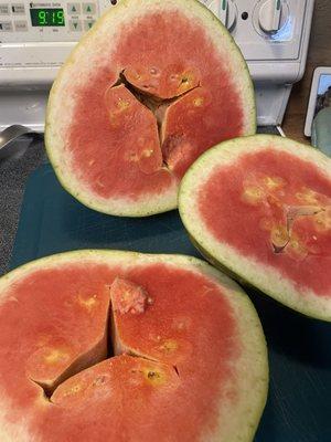 Rotten watermelon $15 each