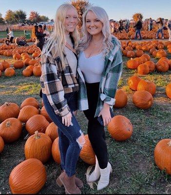 pumpkin farm