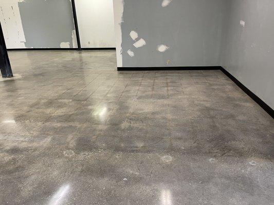 Polished Concrete