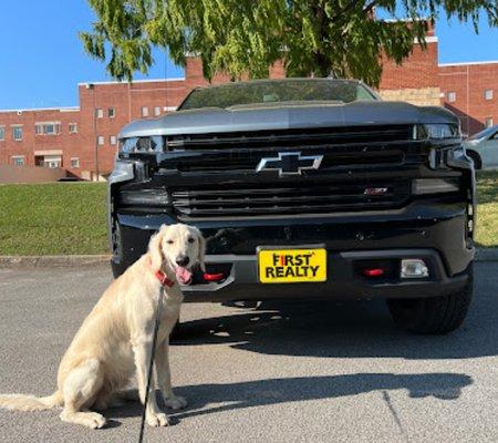 Cooper, The FIRST REALTY & AUCTION Co. Dog and Mascot. Dog Friendly Real Estate & Auction Agency in Cookeville, TN.