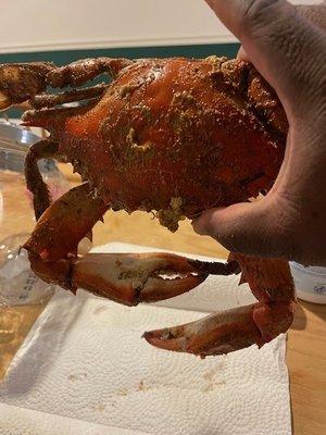 Large crab