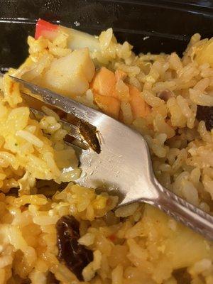 Fried rice with a cockroach