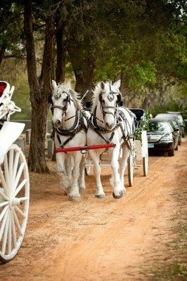 Arrive in a horse-drawn carriage!