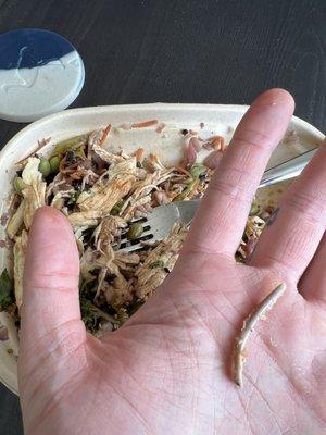 Surprise chicken bone in my Purple Wild Rice Bowl. Yum!