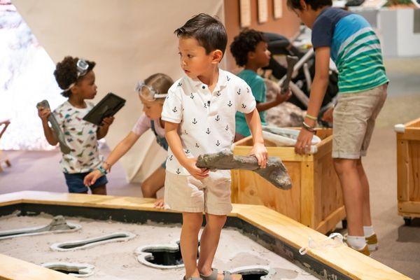 Come explore our paleontology exhibit, I Dig Dinos; the only exhibit where your child gets to BE the paleontologist!