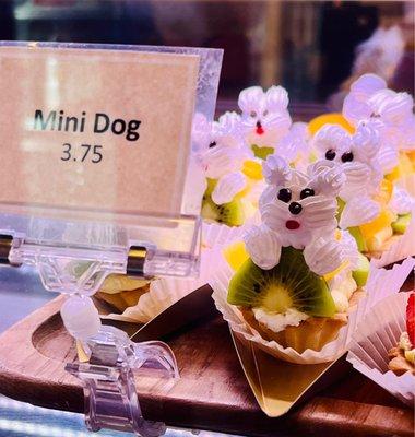 Mini dogs so cute!!