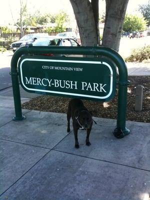 Mamba at Mercy-Bush Park