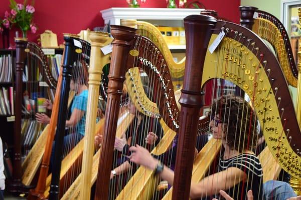 Workshop at Harps Etc.