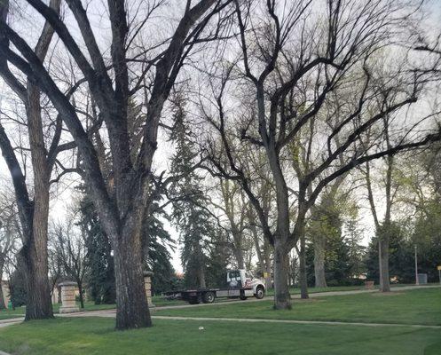 Waiting on Colorado State University property to tow customers on Laurel St at the pay to park lot with deceptive signage.