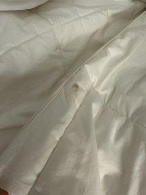 Blood(?) on the comforter