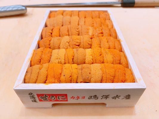 Uni from Hokkaido JAPAN