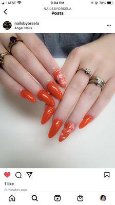 Shellac gel set by Orsela