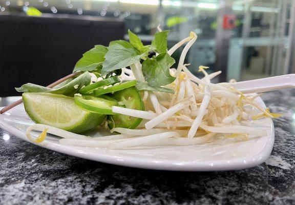 Pho Today Plainsboro Plaza