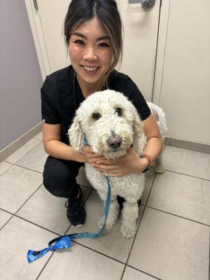 Animal Hospital Of Irvine